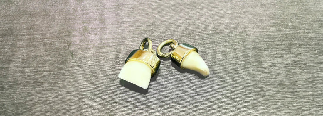 Erster Zahn des Kindes oder Fuchszahn zur Linderung der Schmerzen beim Zahnen der Babys bei Juwelier und Goldschmied Dalus einfassen lassen